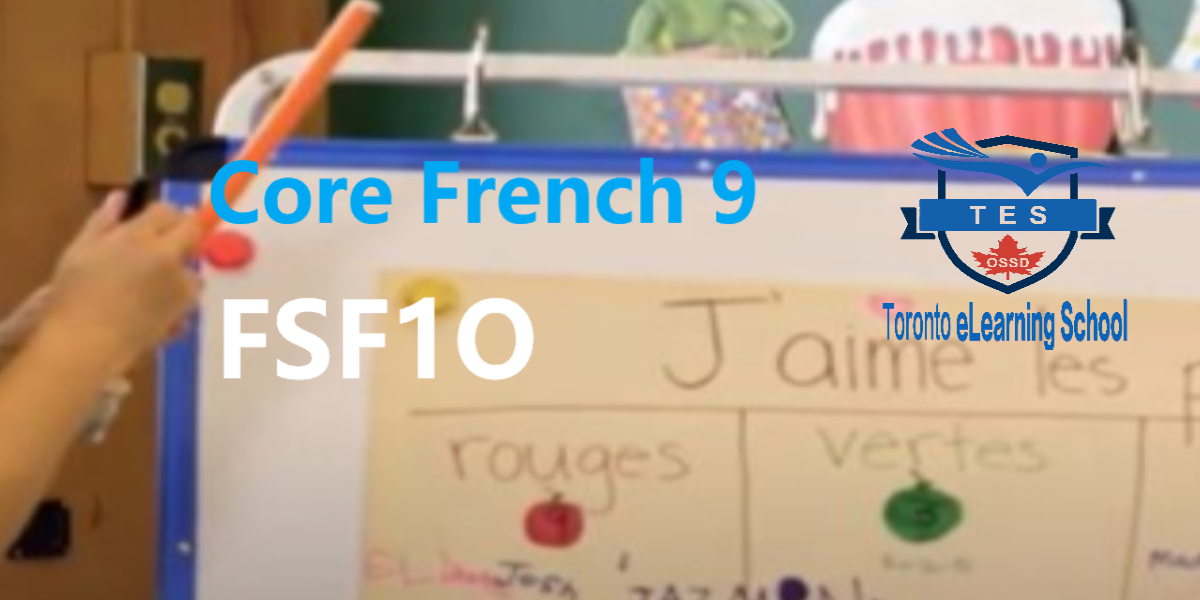 FSF1O_French9